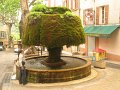 (106) 2010 Barjols